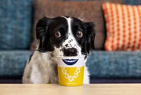 Hampton Inn By Hilton St Louis Airport