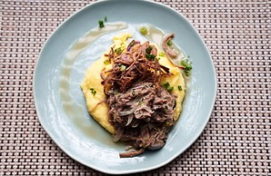 Ibis Tangara Da Serra