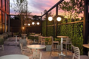 Ibis Tangara Da Serra