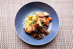 Ibis Tangara Da Serra