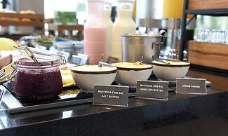 Ibis Tangara Da Serra