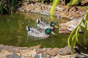 Mt Pleasant Bed and Breakfast Ltd