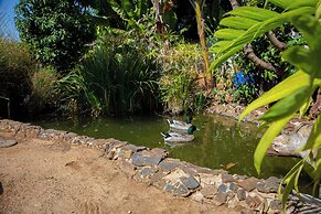 Mt Pleasant Bed and Breakfast Ltd