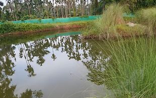 Nameri Baligora Camp By GRB