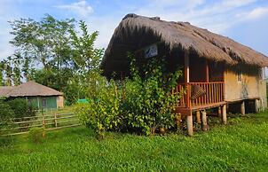 Nameri Baligora Camp By GRB