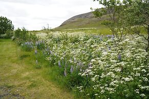 Hólakot Cabin In Golden Circle