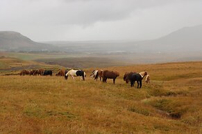 Hólakot Cabin In Golden Circle