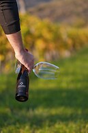 Bohém Borklub Panzió