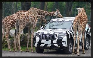 FUJI OUTLET HOT SPRING HOTEL