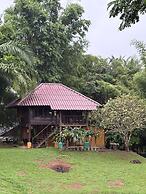 Elephant Camp Maerim