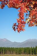 Bright on the River Mystic Apartment 2