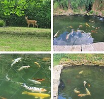 Beautiful Self Contained Cottages in Westbury