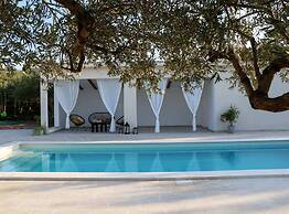 Secluded Oasis With Pool, Outdoor Kitchen, & Landscaped Terraces