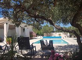 Secluded Oasis With Pool, Outdoor Kitchen, & Landscaped Terraces