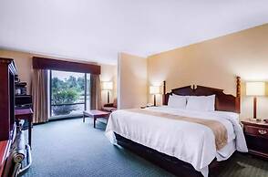 Precious Hotel