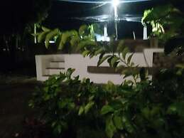 Insight Studio at Csompo Silver Manor