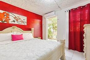 Insight Studio at Csompo Silver Manor