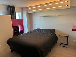 Modern Flat With Garden