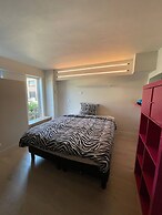 Modern Flat With Garden