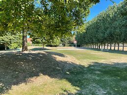 Modern Flat With Garden