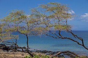 Kihei Akahi D-410 1 Bedroom Condo