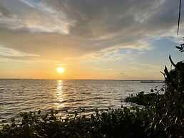 Suzuki's Lagoon Front