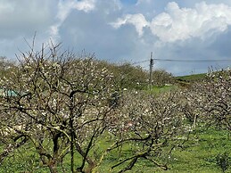 Voi Meo Vac Hostel & Breakfast