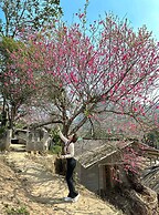 Voi Meo Vac Hostel & Breakfast