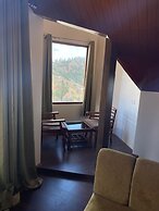 Hotel Apple View Narkanda