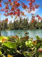 Orchid Villa
