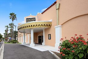 Sounds of the Summer