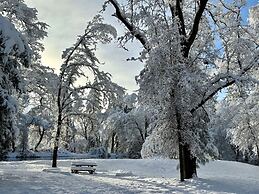 Luxury Casa Oso Retreat 2houses Hottub BBQ 43acres