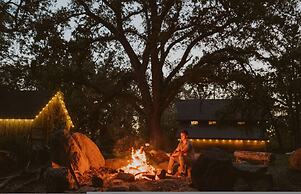 Romantic Forest Loversnest by Casa Oso