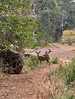 Luxury Nature Getaway Stonehouse by Casa Oso