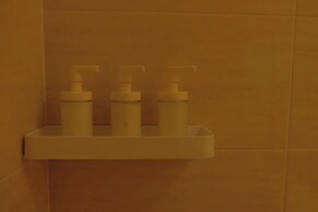 New City Thu Thiem D2