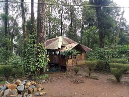 Green Mountain Resorts