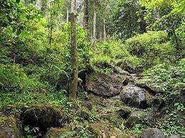 Green Mountain Resorts