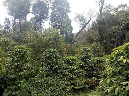 Green Mountain Resorts