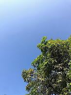 Green Mountain Resorts