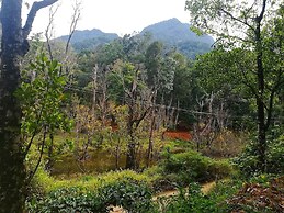 Green Mountain Resorts