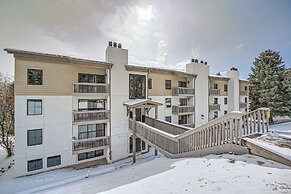 Snowlion Condos 308 2 Bedroom Condo