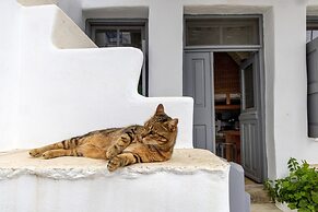Village Aura in Tinos