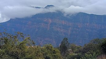 Entre Mangos y Tucanes