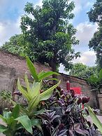 Entre Mangos y Tucanes