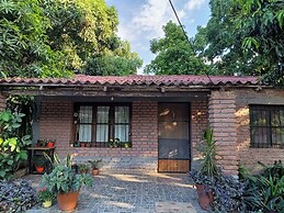 Entre Mangos y Tucanes