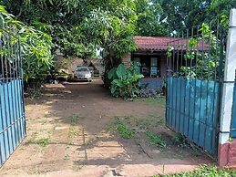 Entre Mangos y Tucanes