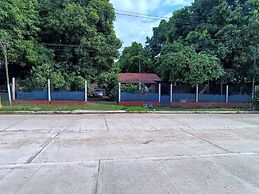 Entre Mangos y Tucanes