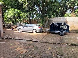 Entre Mangos y Tucanes