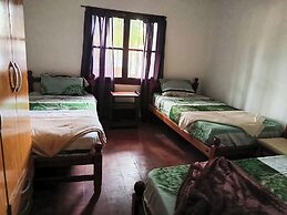 Entre Mangos y Tucanes