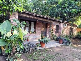 Entre Mangos y Tucanes